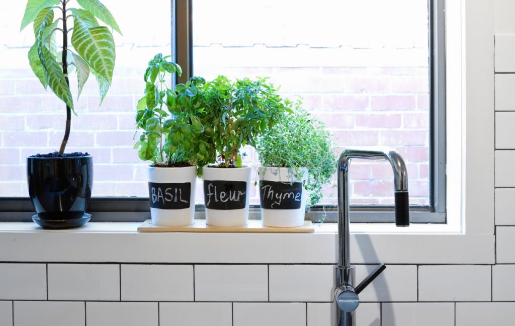 20 Great Small Kitchen Design Ideas 14 Small herb garden on a window sill