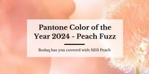 Pantone color of the year 2024 - Peach Fuzz. Featured Image