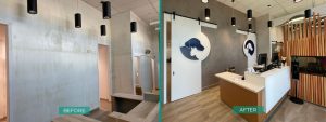Before After Wall Pet Clinic